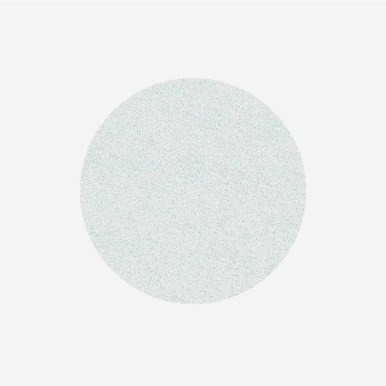 Staleks Pododisc fil L 320 grit (50 pk)