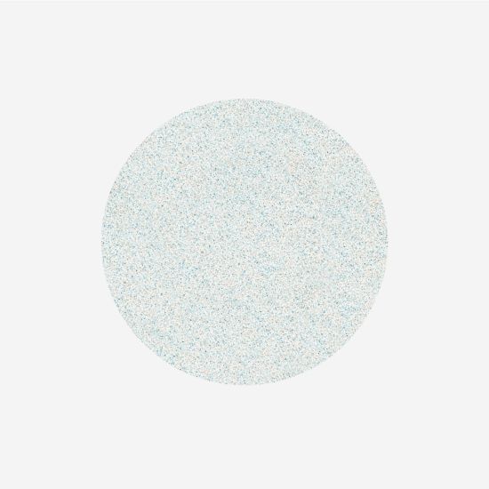Staleks Pododisc fil L 240 grit (50 pk)