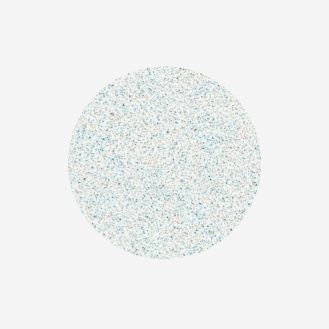 Staleks Pododisc fil L 100 grit (50 pk)